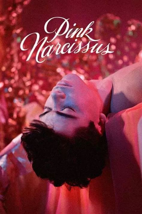 Pink Narcissus 2025
